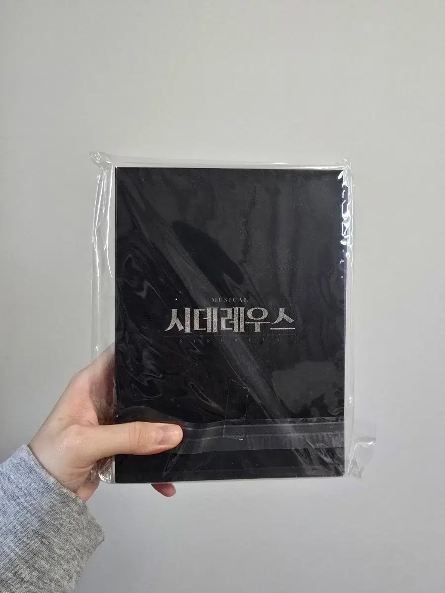 2024-25 뮤지컬 종의 기원 DVD 2번 | 브랜드 중고거래 플랫폼, 번개장터